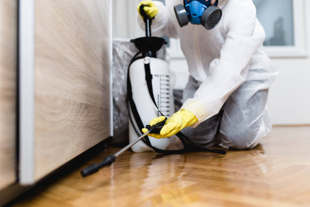 Trusted Stratford, NJ Pest Control Experts