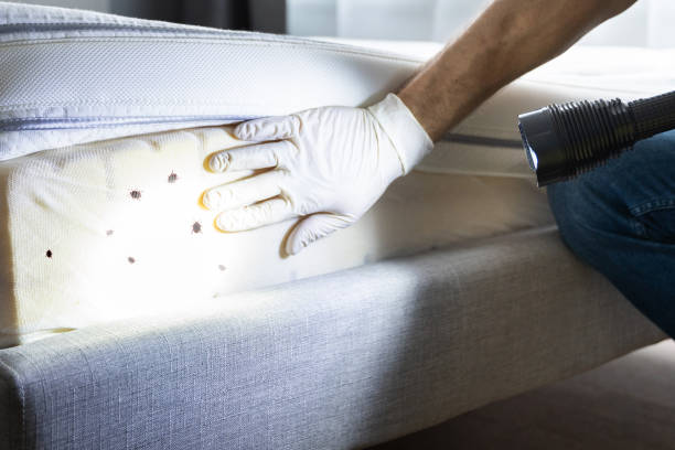 Best Pest Prevention Services  in Stratford, NJ
