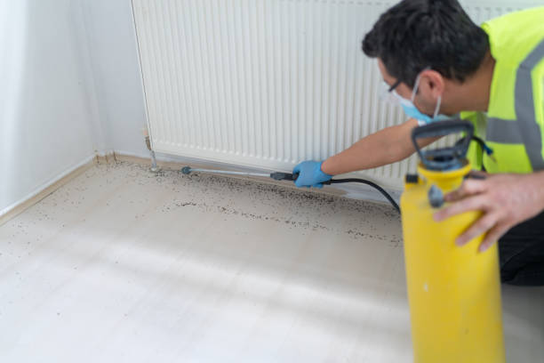 Best Bed Bug Extermination  in Stratford, NJ