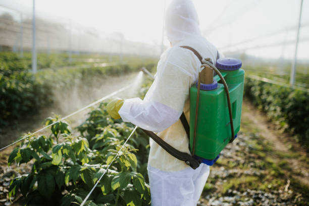 Best Insect Control  in Stratford, NJ